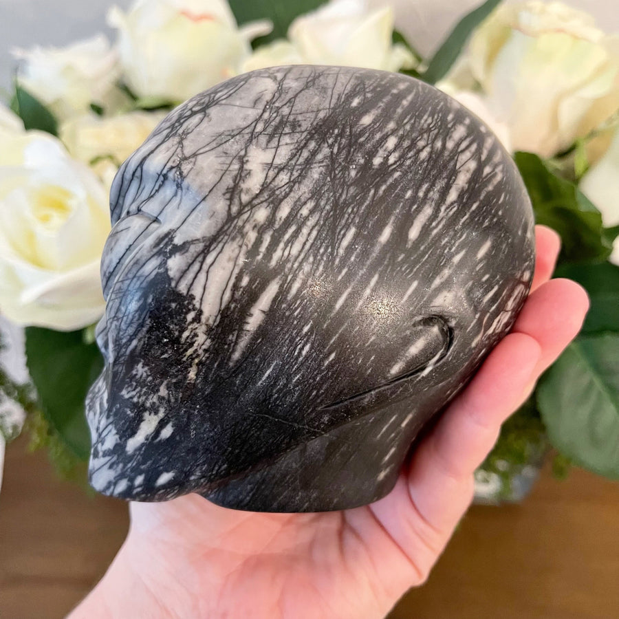 Picasso Jasper Starbeing Crystal Skull