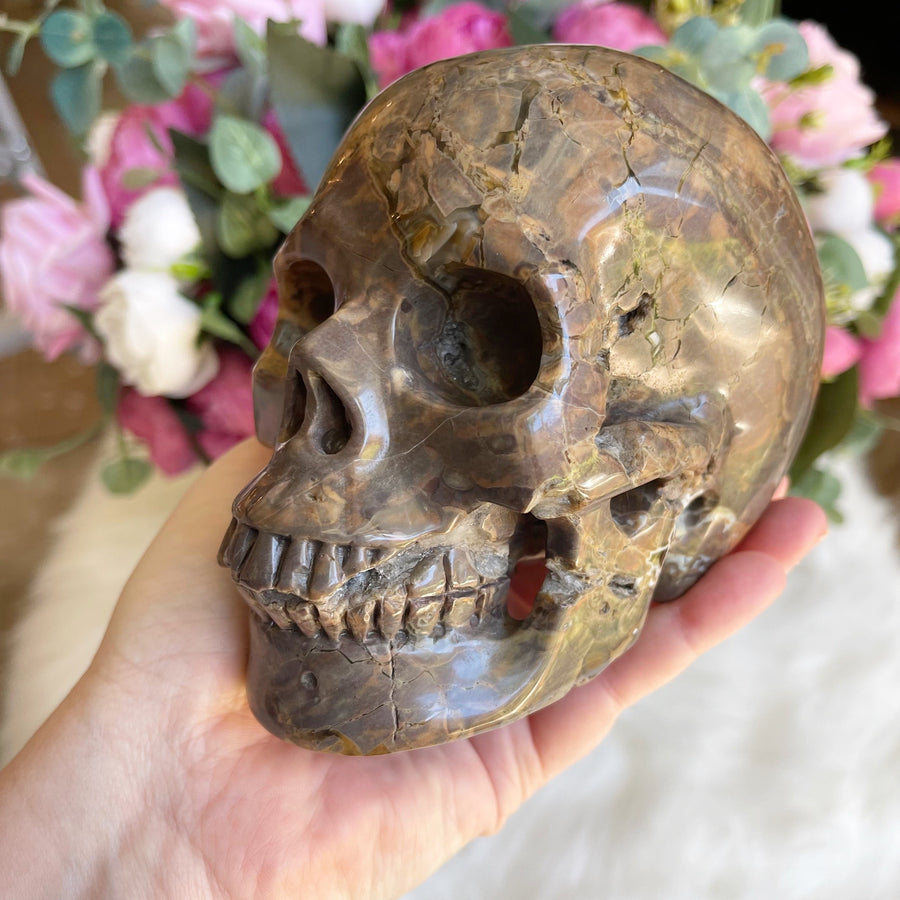 Dinosaur Egg Agate Crystal Skull
