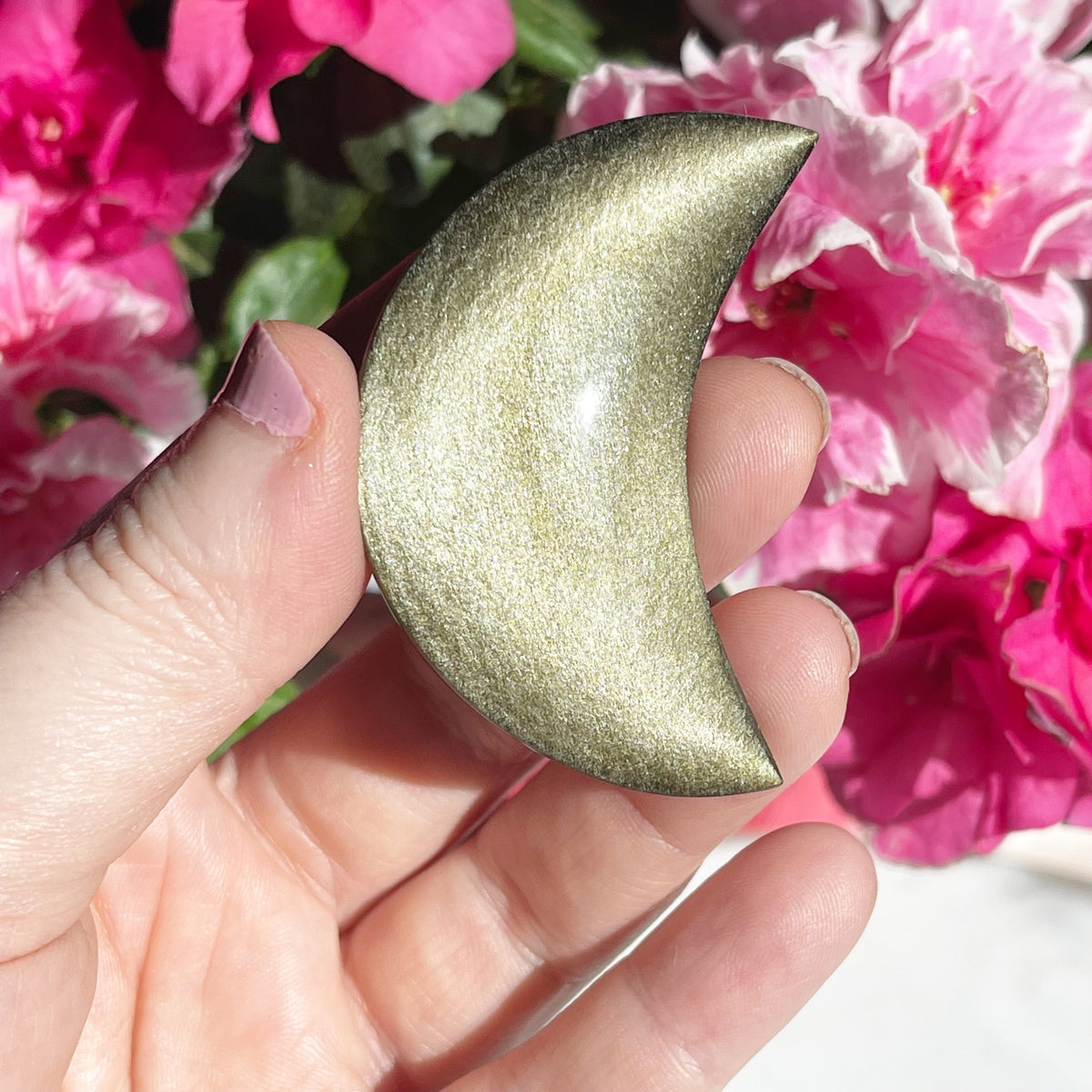 Gold Sheen Obsidian Moons