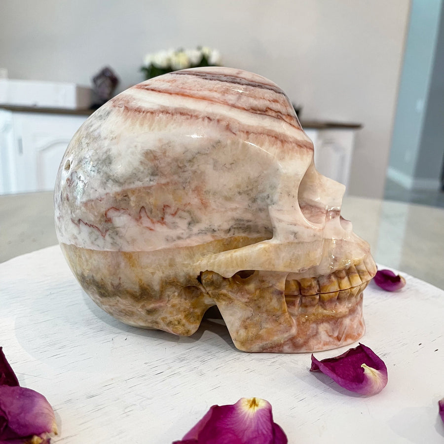 Huge Eastern Jasper Crystal Skull Skull