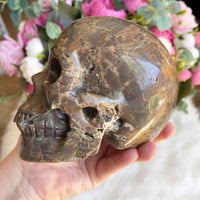 Dinosaur Egg Agate Crystal Skull