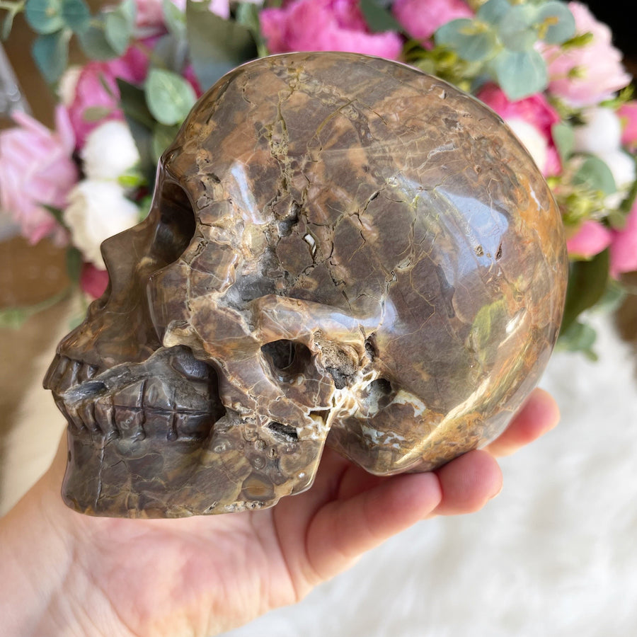 Dinosaur Egg Agate Crystal Skull