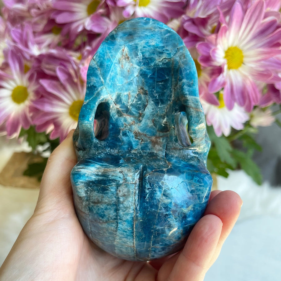 Blue Apatite Crystal Skull