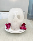 AKASHA Himalayan Quartz Master Crystal Skull Ancient Skull Energized