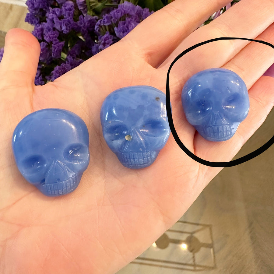 RESERVED Blue Chalcedony Palm Crystal Skull Carved by Leandro de Souza